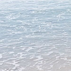 Meet your Posher, Gisella